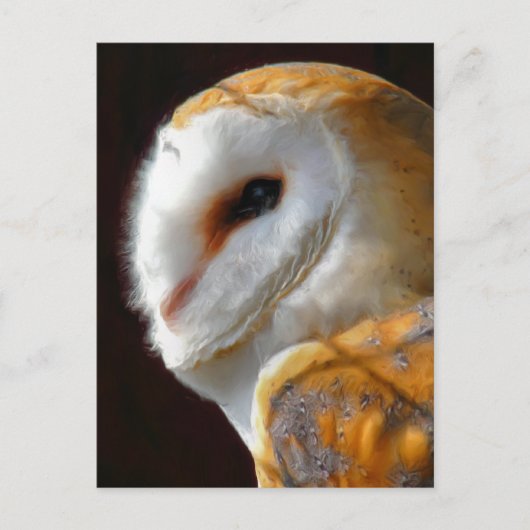 OWLS BRIEFKAART (Voorkant)