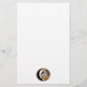 OWLS BRIEFPAPIER (Voorkant)
