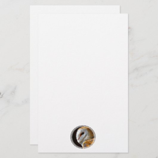 OWLS BRIEFPAPIER (Voorkant / Achterkant)