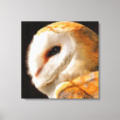 OWLS CANVAS AFDRUK (Voorkant)