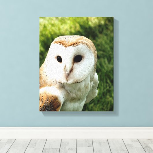 OWLS CANVAS AFDRUK (Insitu (Houten vloer))