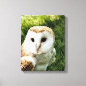 OWLS CANVAS AFDRUK (Voorkant)