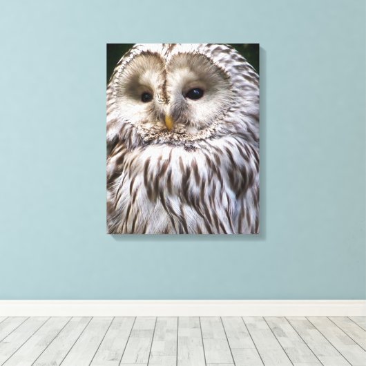 OWLS CANVAS AFDRUK (Insitu (Houten vloer))
