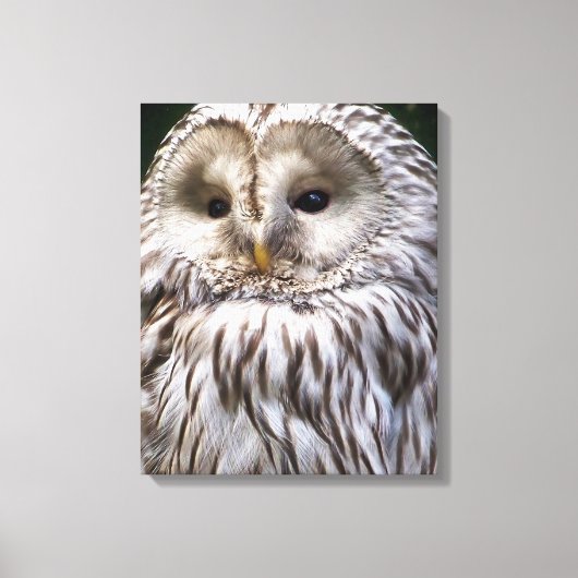 OWLS CANVAS AFDRUK (Voorkant)