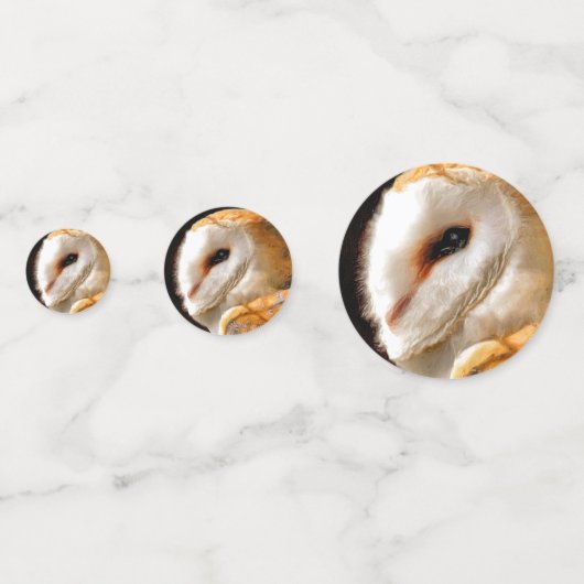 OWLS CONFETTI (Achterkanten)