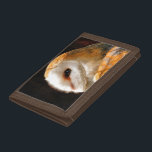 OWLS DRIEVOUD PORTEMONNEE<br><div class="desc">Een mooie zachte artistieke waterverf van een Barn Owl.</div>