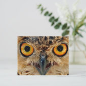 Owls Eyes Briefkaart (Staand voorkant)