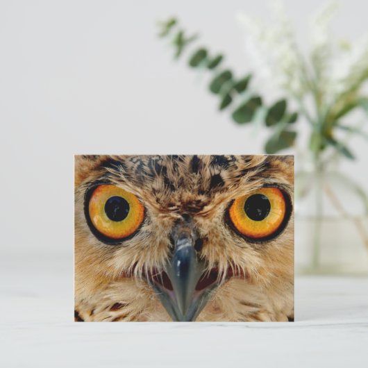 Owls Eyes Briefkaart (Staand voorkant)