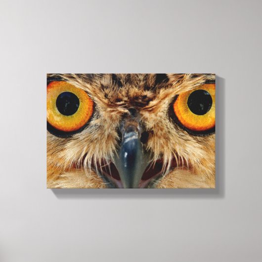 Owls Eyes Canvas Afdruk (Voorkant)