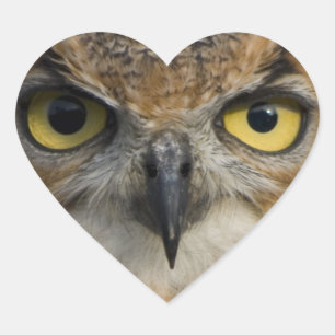 Owls Eyes Hart Sticker