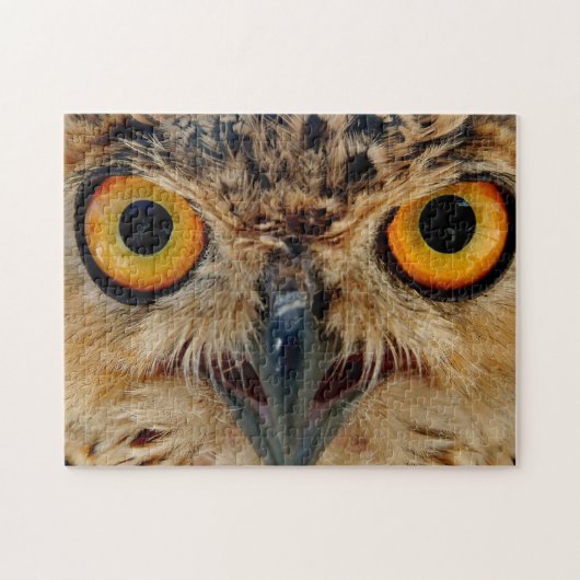 Owls Eyes Legpuzzel (Horizontaal)