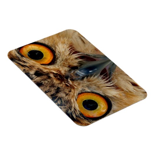 Owls Eyes Magneet (Rechterzijde)