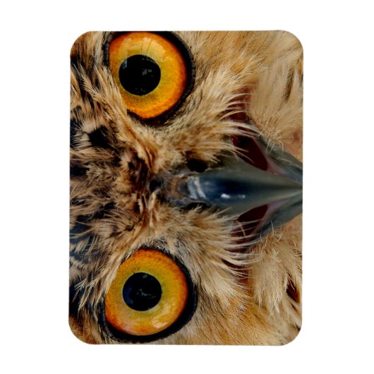 Owls Eyes Magneet (Verticaal)