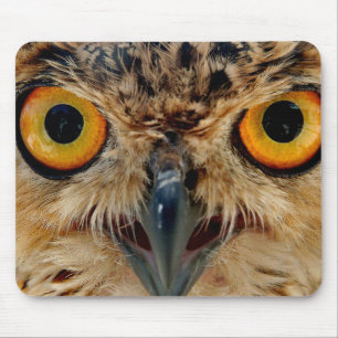 Owls Eyes Muismat