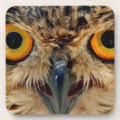 Owls Eyes Onderzetter (Voorkant)