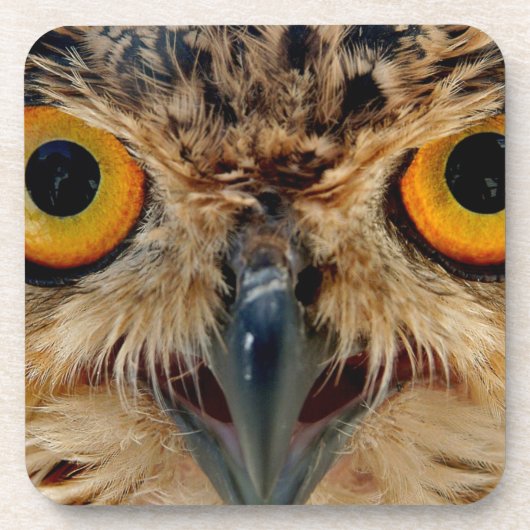 Owls Eyes Onderzetter (Voorkant)