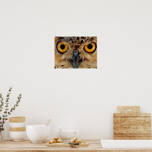 Owls Eyes Poster (Keuken)