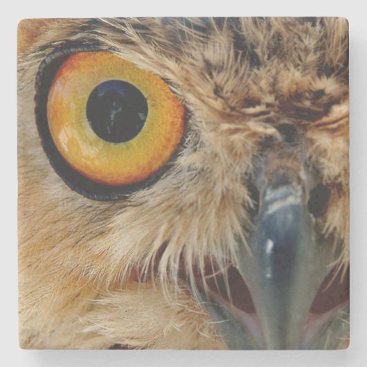 Owls Eyes Stenen Onderzetter (Voorkant)