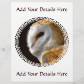 OWLS FLYER (Voorkant)