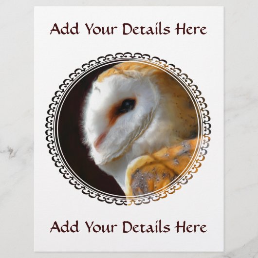 OWLS FLYER (Voorkant)