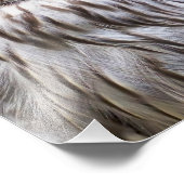 OWLS FOTO AFDRUK (Hoek)