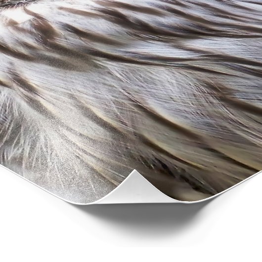 OWLS FOTO AFDRUK (Hoek)