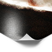 OWLS FOTO AFDRUK (Hoek)