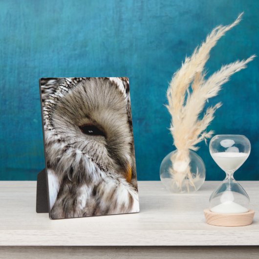 OWLS FOTOPLAAT (Zijkant)