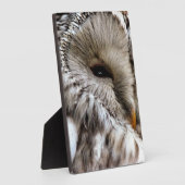 OWLS FOTOPLAAT (Zijkant)