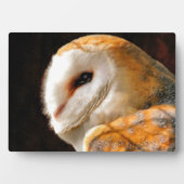 OWLS FOTOPLAAT (voorkant)