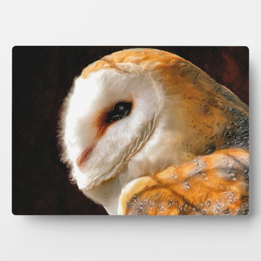 OWLS FOTOPLAAT (voorkant)