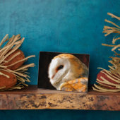 OWLS FOTOPLAAT (Zijkant)