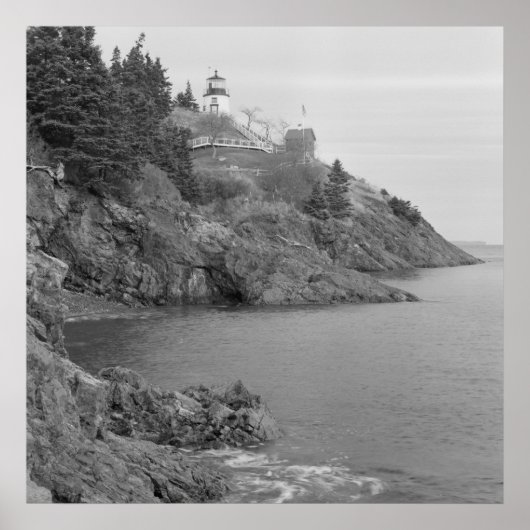 Owl's Head Light Station Poster (Voorkant)