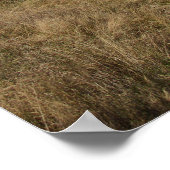 Owl's Head Lighthouse, Maine Poster (Hoek)