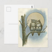 owls illustratie briefkaart (Voorkant / Achterkant)