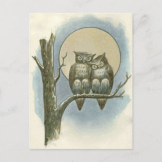  owls illustratie briefkaart