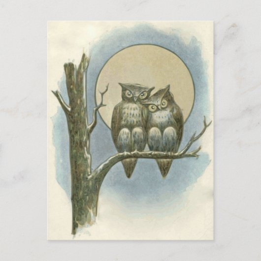 owls illustratie briefkaart (Voorkant)