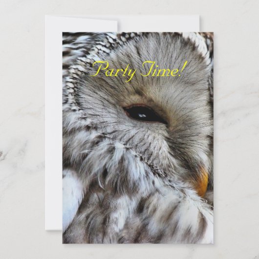 OWLS-INVITATIE (Voorkant)