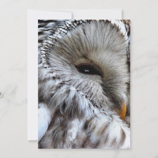 OWLS-INVITATIE (Voorkant)