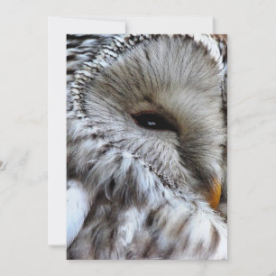 OWLS-INVITATIE