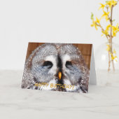 OWLS KAART (Gele Bloem)