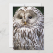 OWLS KAART (Voorkant)