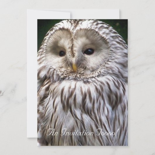 OWLS KAART (Voorkant)