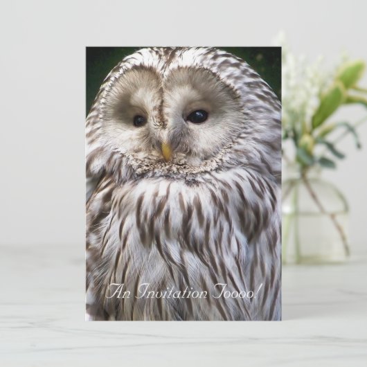 OWLS KAART (Staand voorkant)