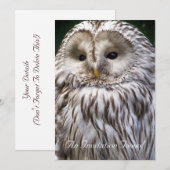 OWLS KAART (Voorkant / Achterkant)