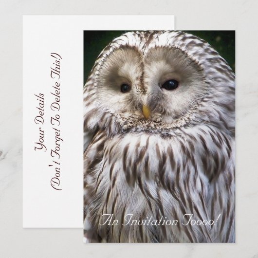 OWLS KAART (Voorkant / Achterkant)