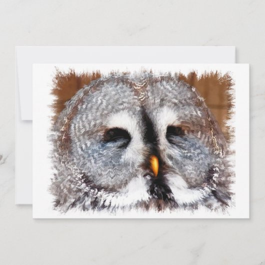 OWLS KAART (Voorkant)