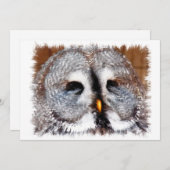 OWLS KAART (Voorkant / Achterkant)