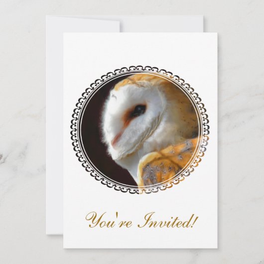 OWLS KAART (Voorkant)