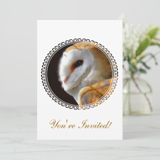 OWLS KAART (Staand voorkant)